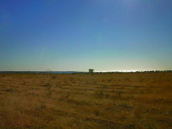 Берегове з panoramio.com - Берегово