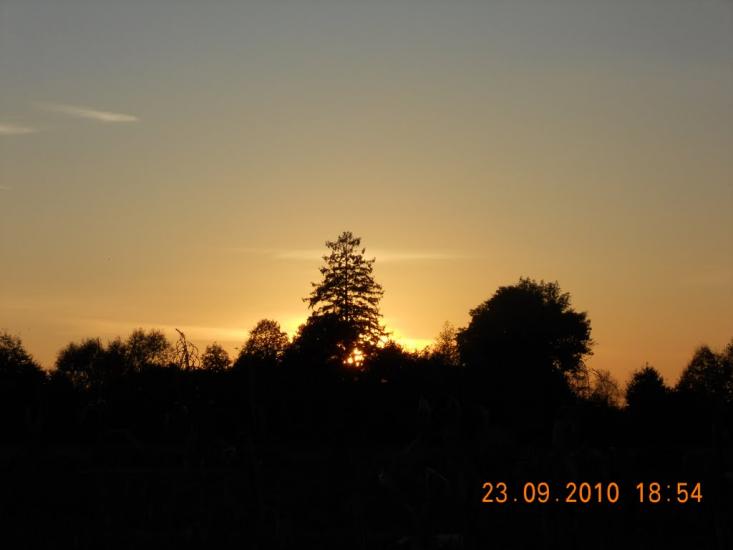 Головлі з panoramio.com - Головли
