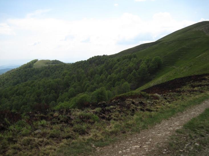 Усть-Чорна з panoramio.com - Усть-Чорна