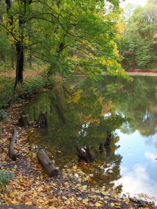Краснокутськ з panoramio.com - Краснокутск