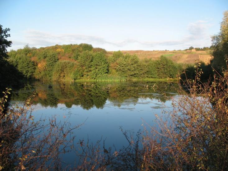 Дмитровичі з panoramio.com - Дмитровичі