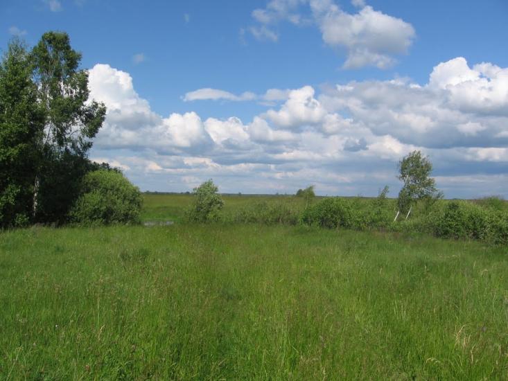 Терехівка з panoramio.com - Терехівка