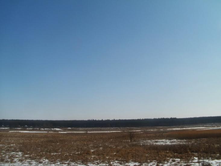 Куна з panoramio.com - Куна