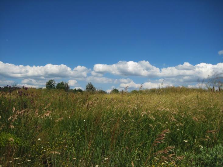 Сурсько-Клевцеве з panoramio.com - Сурско-Клевцово