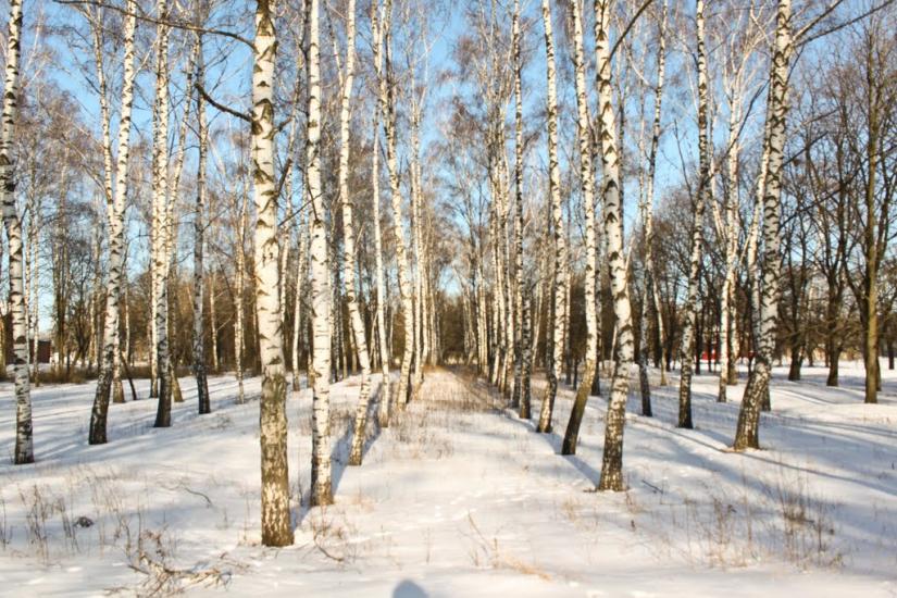 Комуніст з panoramio.com - Комуніст