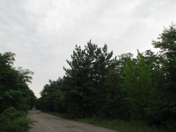Келеберда з panoramio.com - Келеберда