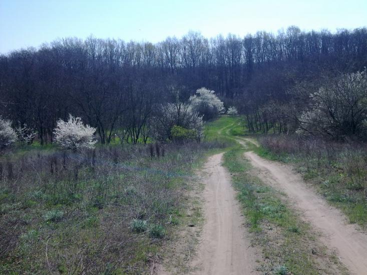 Лимани з panoramio.com - Лиманы