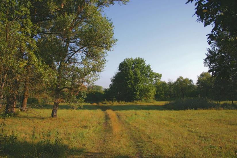 Юрки з panoramio.com - Yurky