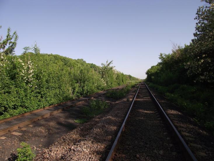 Калінінський з panoramio.com - Калининский