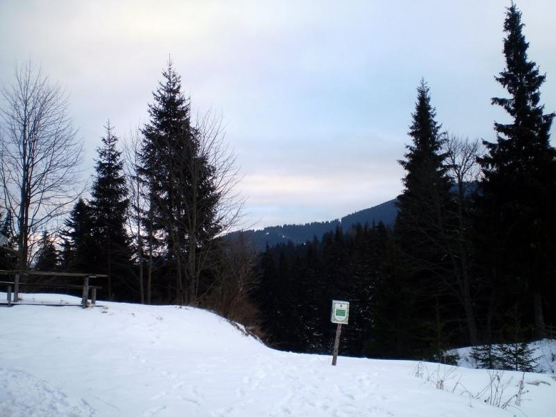 Стебний з panoramio.com - Стебный