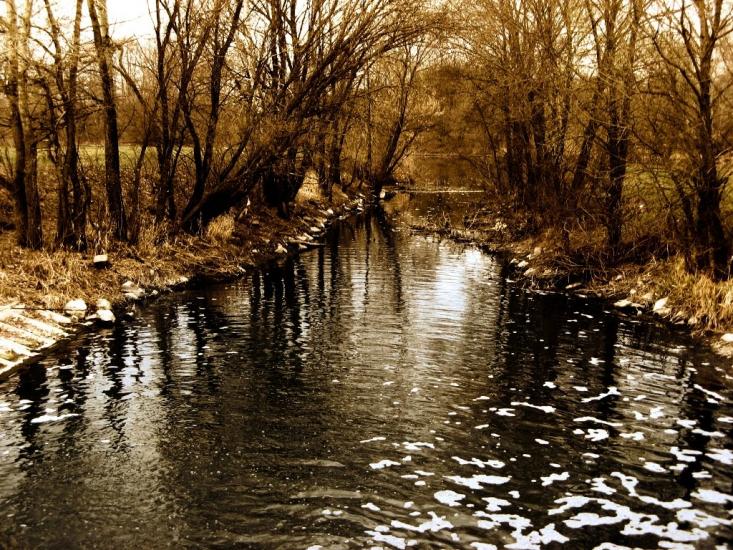 Мохнач з panoramio.com - Мохнач