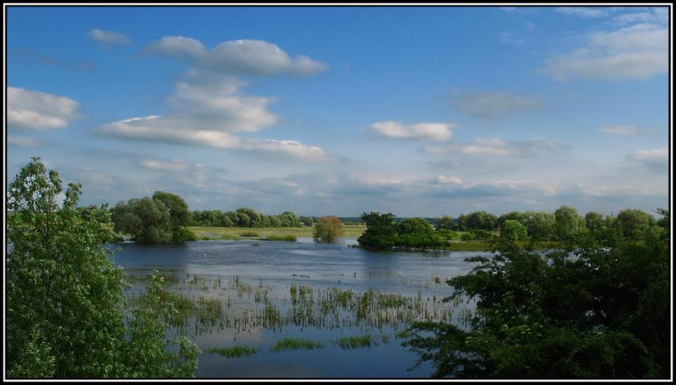 Мовники з panoramio.com - Мовники
