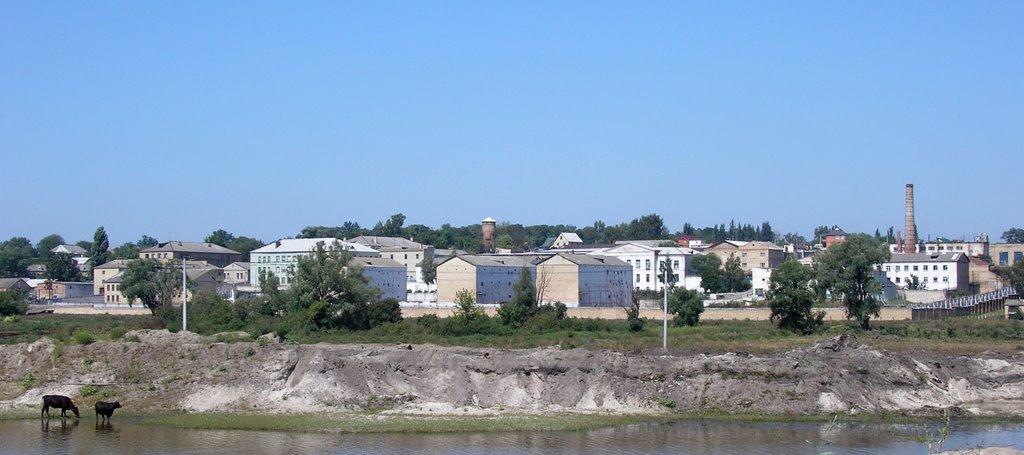 Буча з panoramio.com - Буча