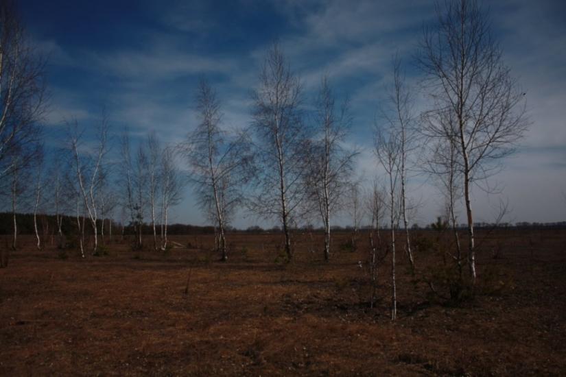 Хоцьки з panoramio.com - Хоцки