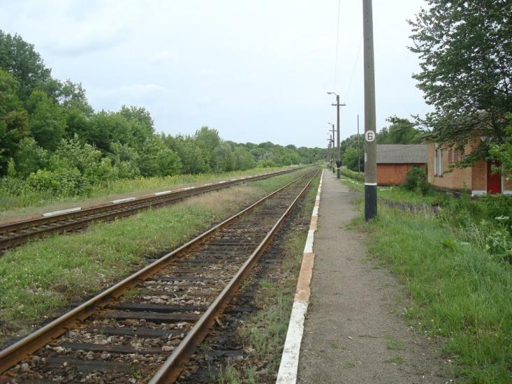 Іванківці з panoramio.com - Ivankivtsi