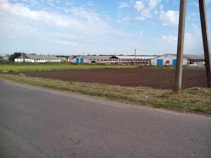 Матяшівка з panoramio.com - Матяшівка