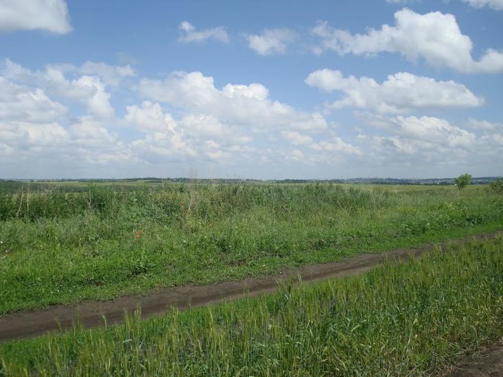 Малашівці з panoramio.com - Малашевцы