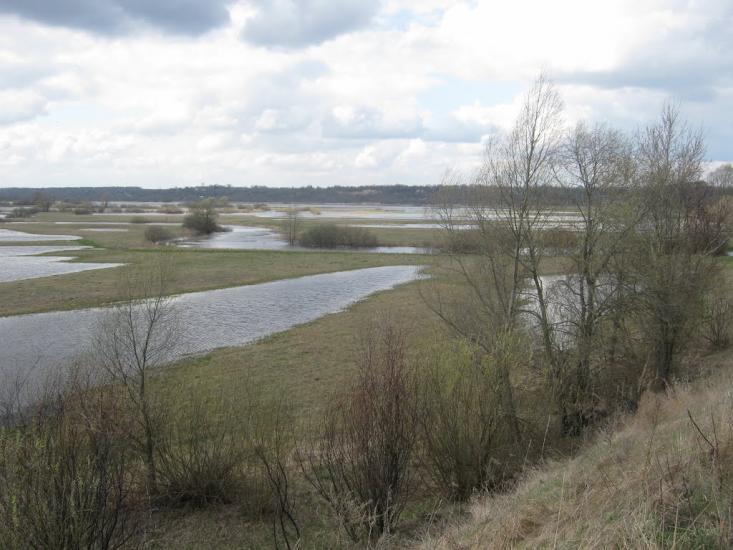Пирогівка з panoramio.com - Пироговка