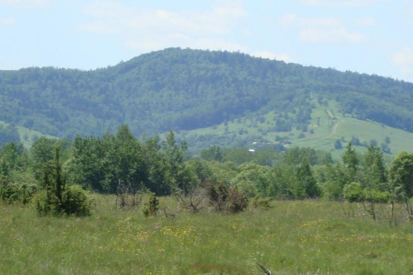 Ценява з panoramio.com - Ценява