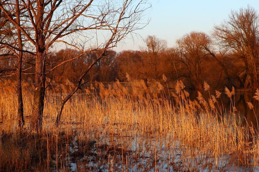 Черемушне з panoramio.com - Cheremushne