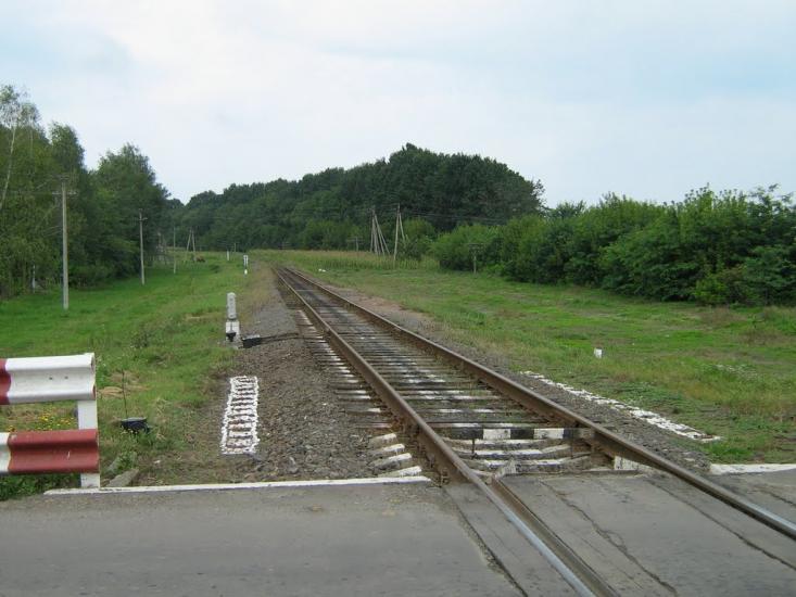 Романківці з panoramio.com - Романковцы