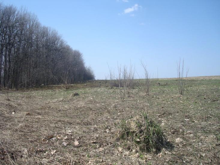 Чапаєвка з panoramio.com - Малые Коростовцы