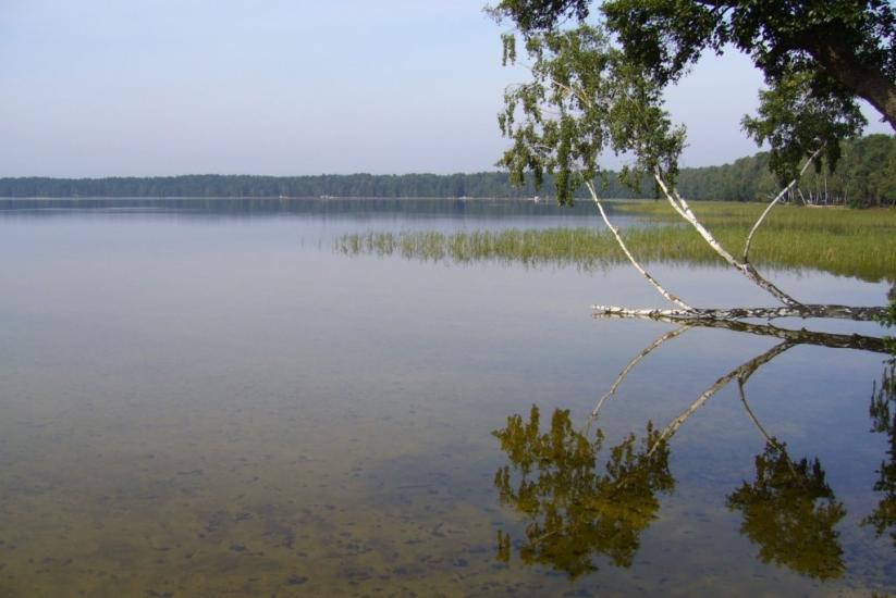Рудка з panoramio.com - Рудка