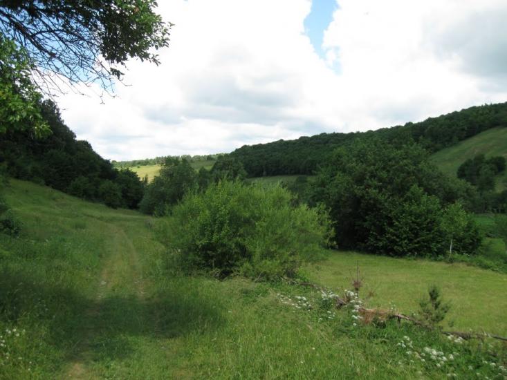 Городиська з panoramio.com - Городиська
