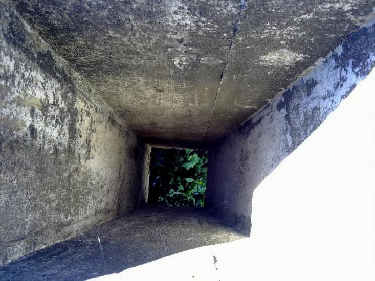 Староміщина з panoramio.com - Староміщина