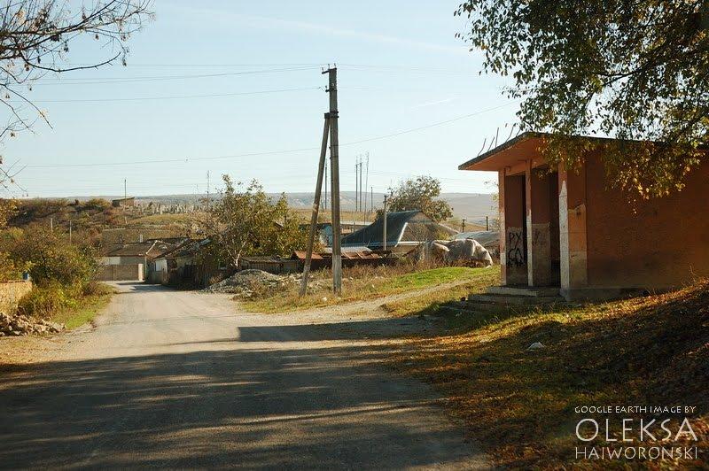 Дачне з panoramio.com - Дачное