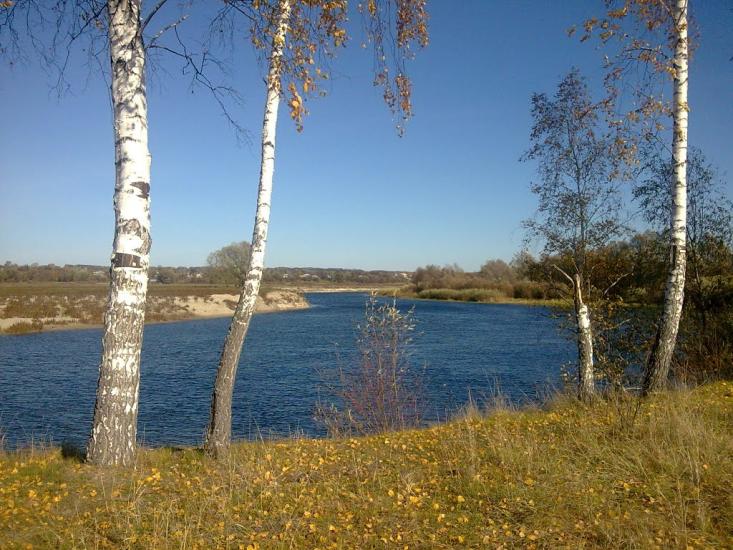 Новомутин з panoramio.com - Novomutyn