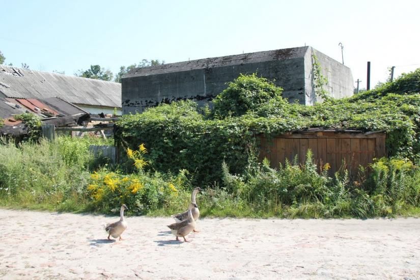 Житомир з panoramio.com - Житомир