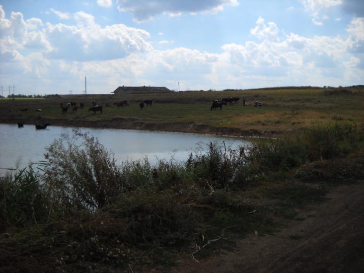 Дібрівка з panoramio.com - Дібрівка