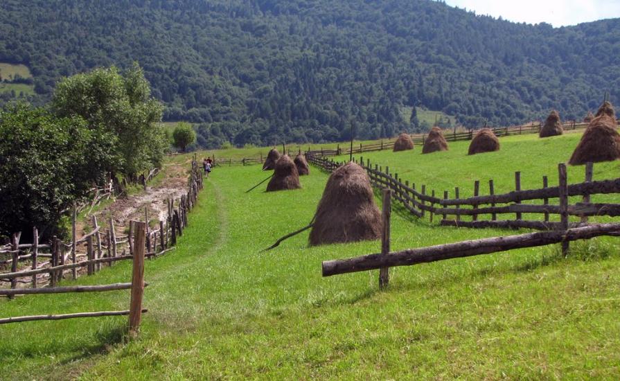 Крушельниця з panoramio.com - Крушельница