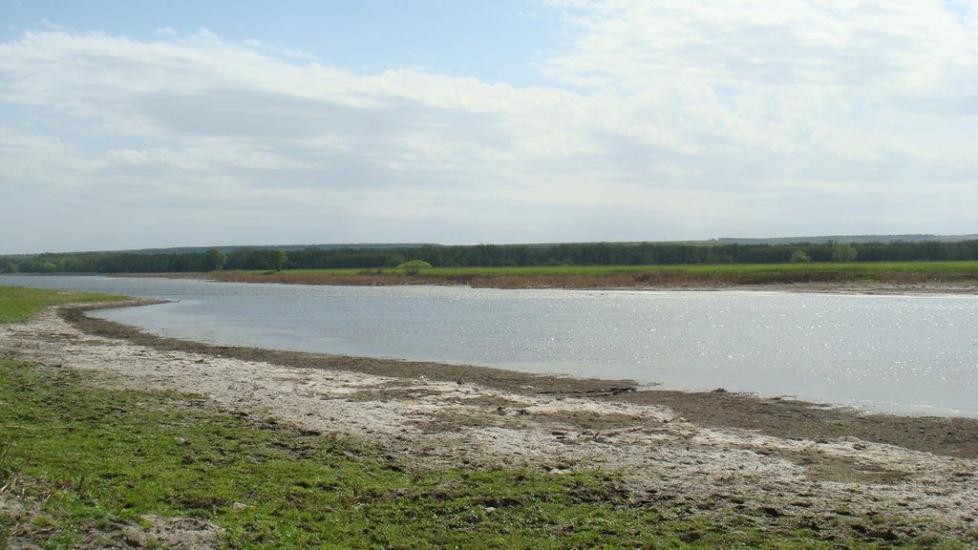 Борівське з panoramio.com - Борівське