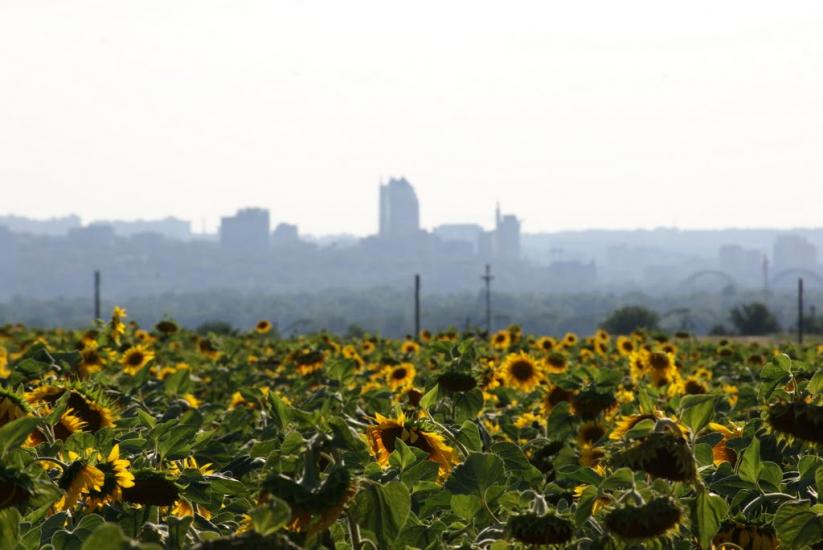 Придніпрянське з panoramio.com - Придніпрянське