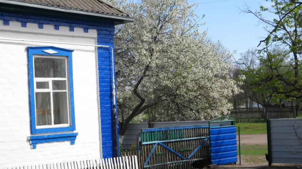 Малютинці з panoramio.com - Малютинцы