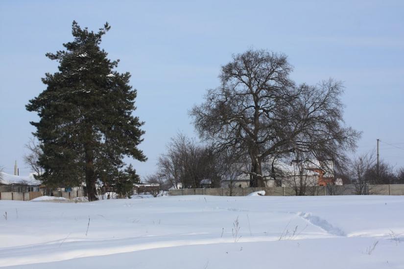 Хоцьки з panoramio.com - Хоцки