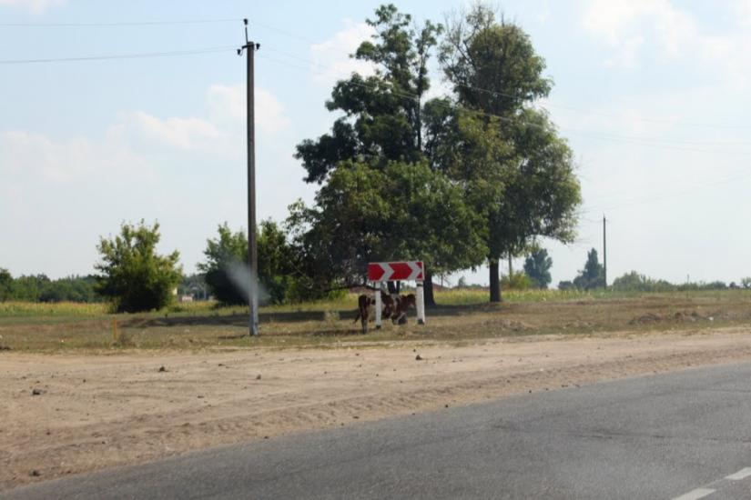 Джулинка з panoramio.com - Джулинка