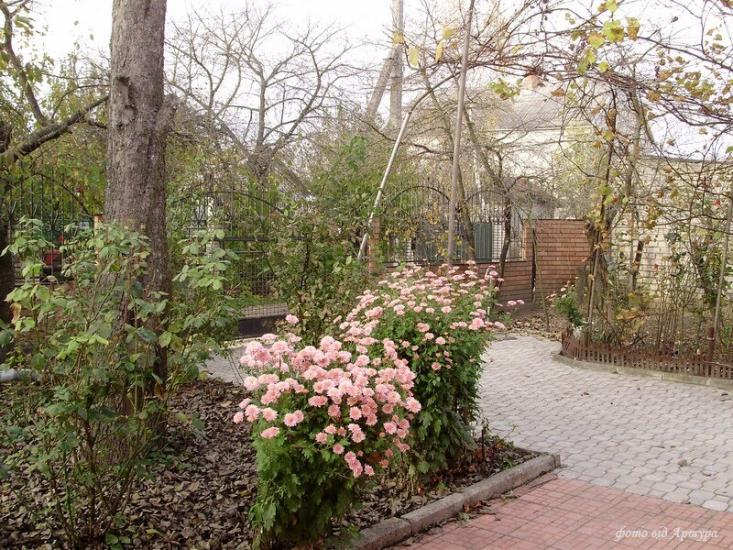 Острівок з panoramio.com - Острівок