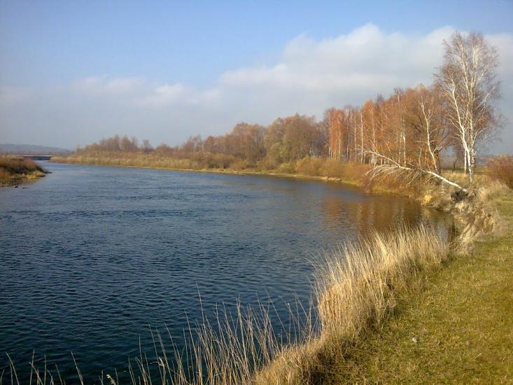 Новомутин з panoramio.com - Новомутин