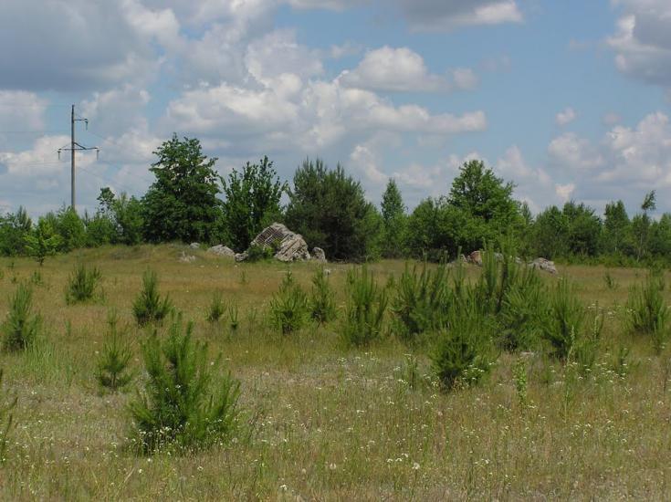 Ушиця з panoramio.com - Ушица
