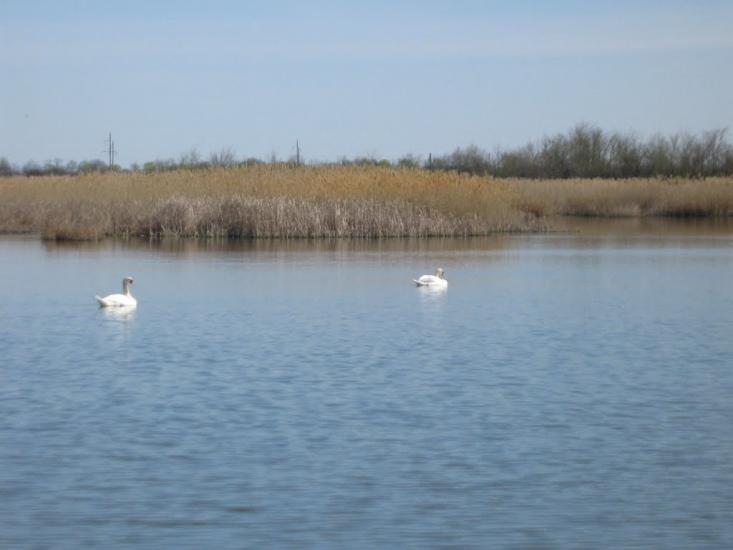 Великоолександрівка з panoramio.com - Velykooleksandrivka