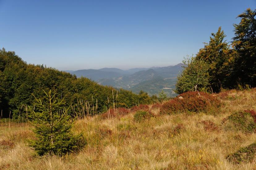 Гусний з panoramio.com - Гусний
