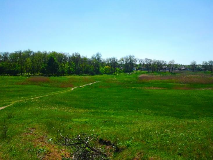 Олександрівка з panoramio.com - Александровка