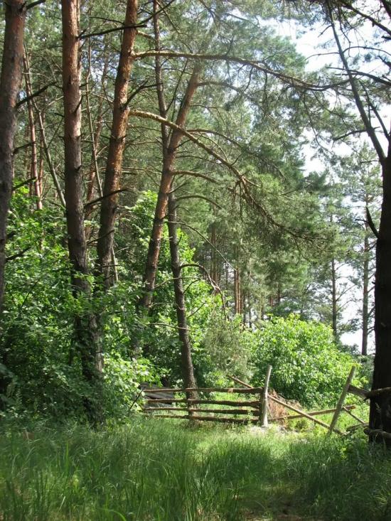 Червона Гута з panoramio.com - Червона Гута