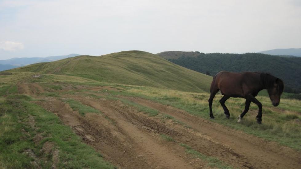 Руська Мокра з panoramio.com - Русская Мокрая