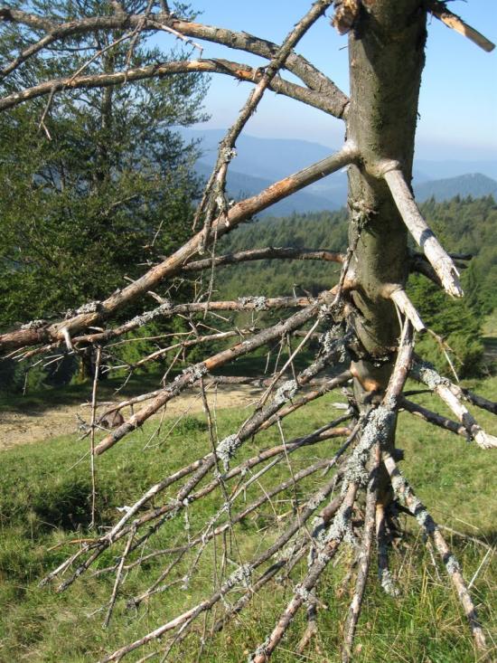 Баня-Березів з panoramio.com - Баня-Березов