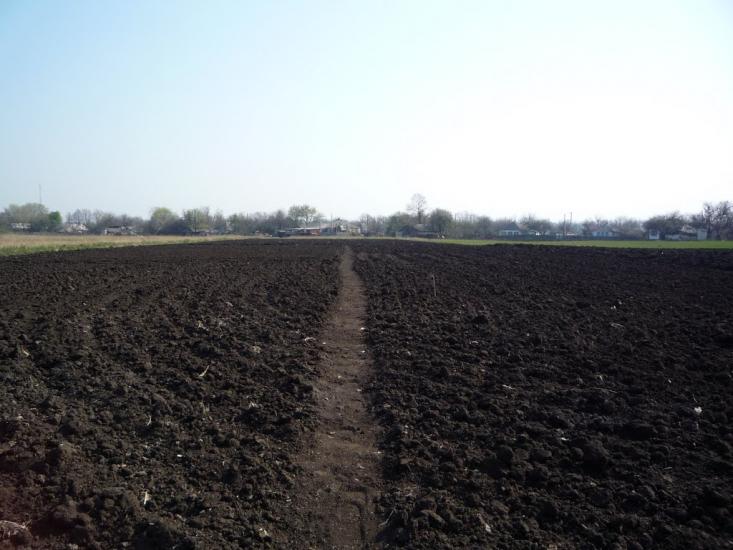 Піски-Радьківські з panoramio.com - Pisky-Radkivski