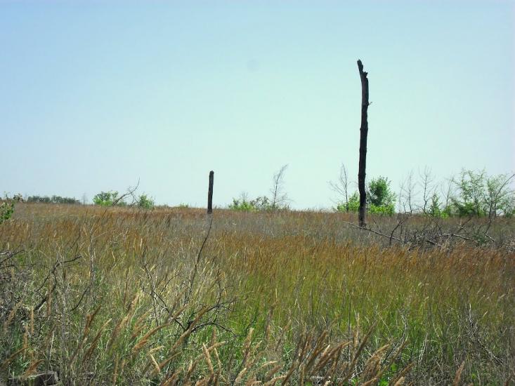 Лопаскине з panoramio.com - Лопаскине